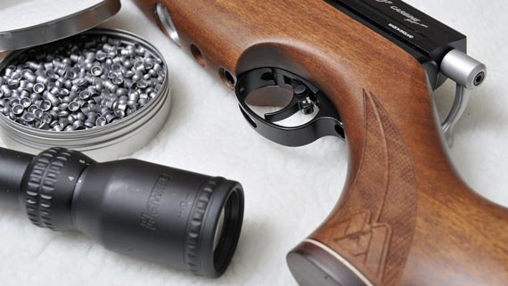 Airgun, ammo and telescopic sight